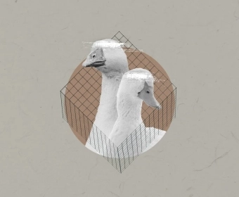 Foiegras_banner_resized.webp