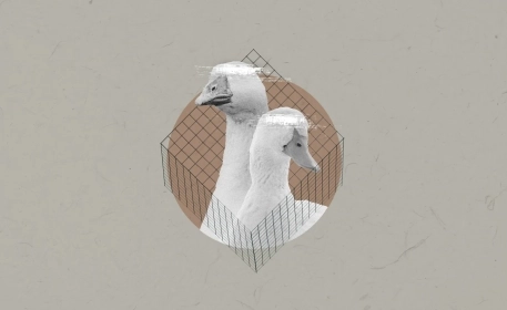 The Ethics of Foie Gras