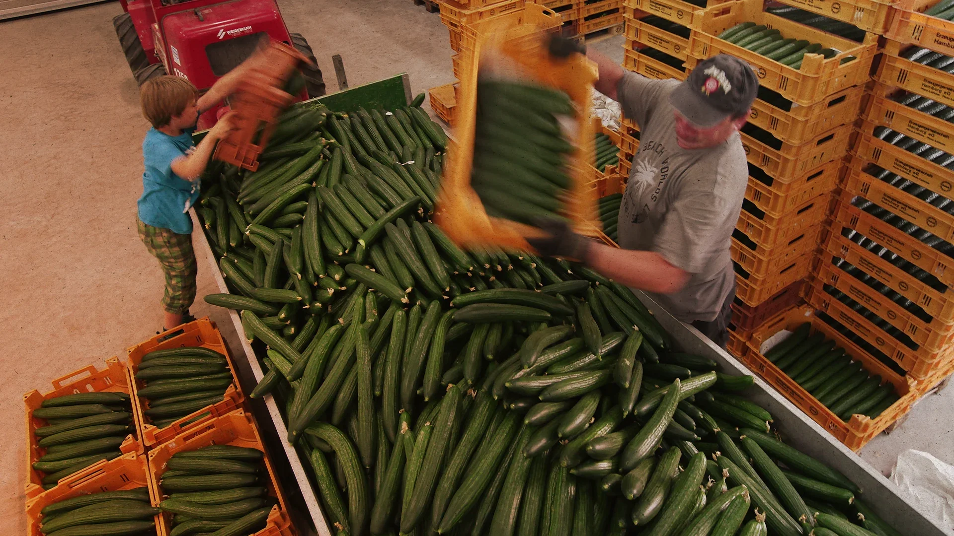 food_waste_banner.webp