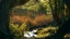 From_Field_to_Forest_banner.webp