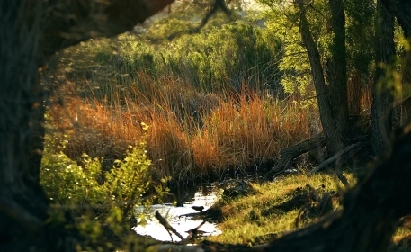  A Home For Wild Mammals in the Heart of the Farmlands