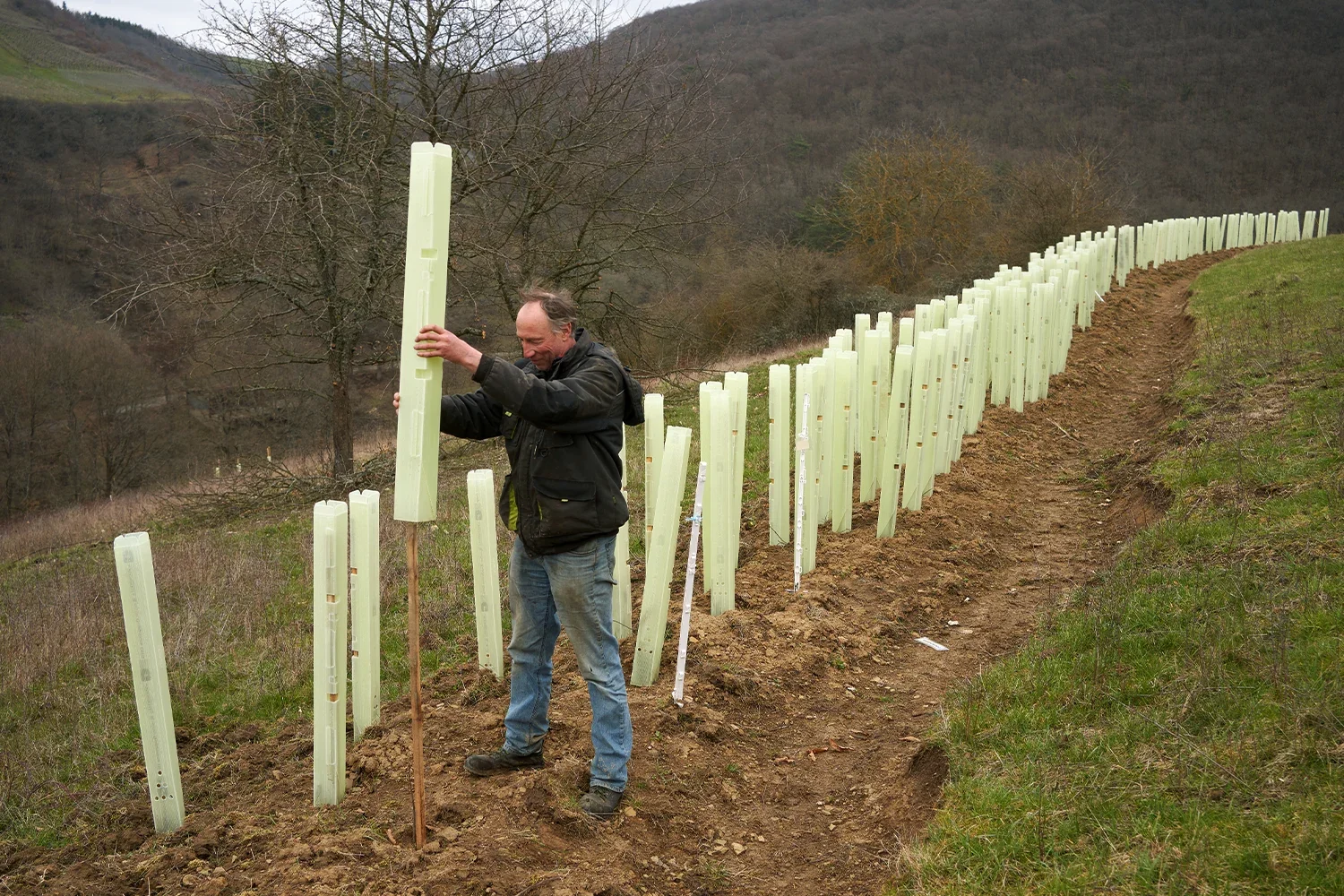 Adding trees to agriculture