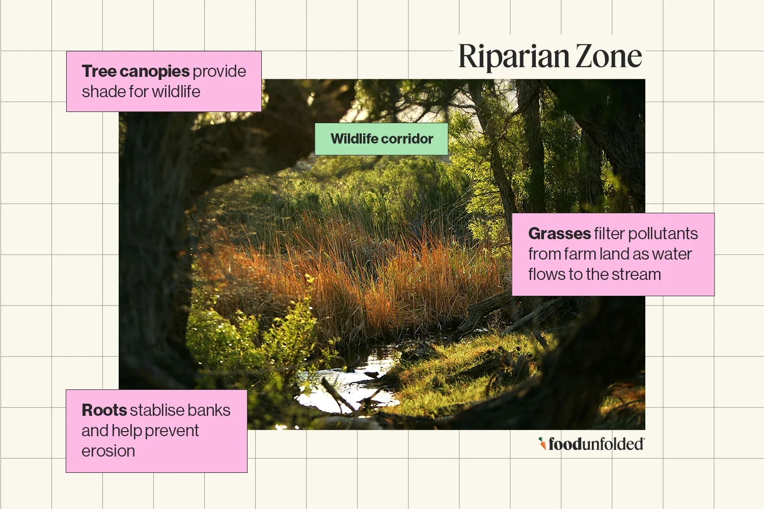 Buffer Zones