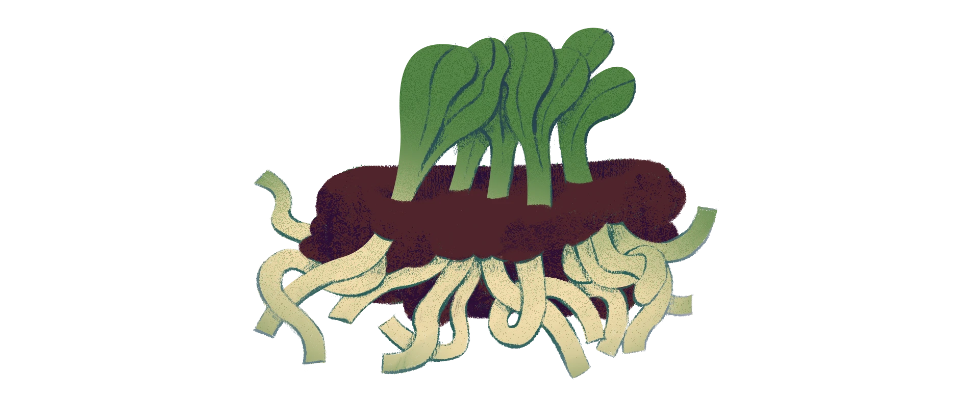 Why Soil Matters
