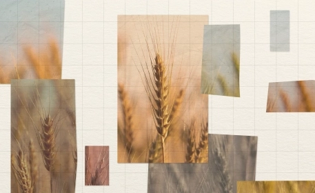 The Great Gene Editing Debate: The Good, Bad and the Ugly
