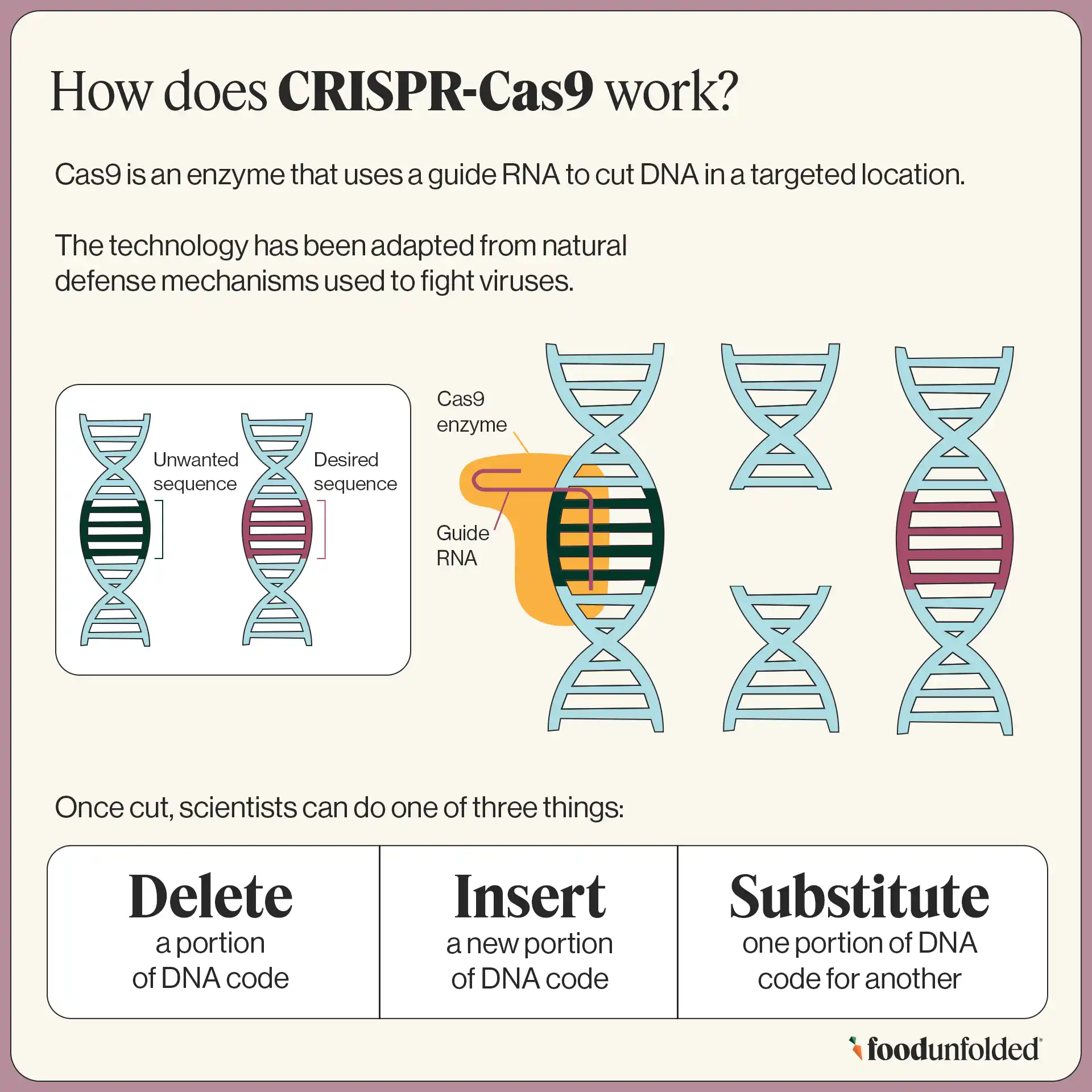 How CRISPR works simple