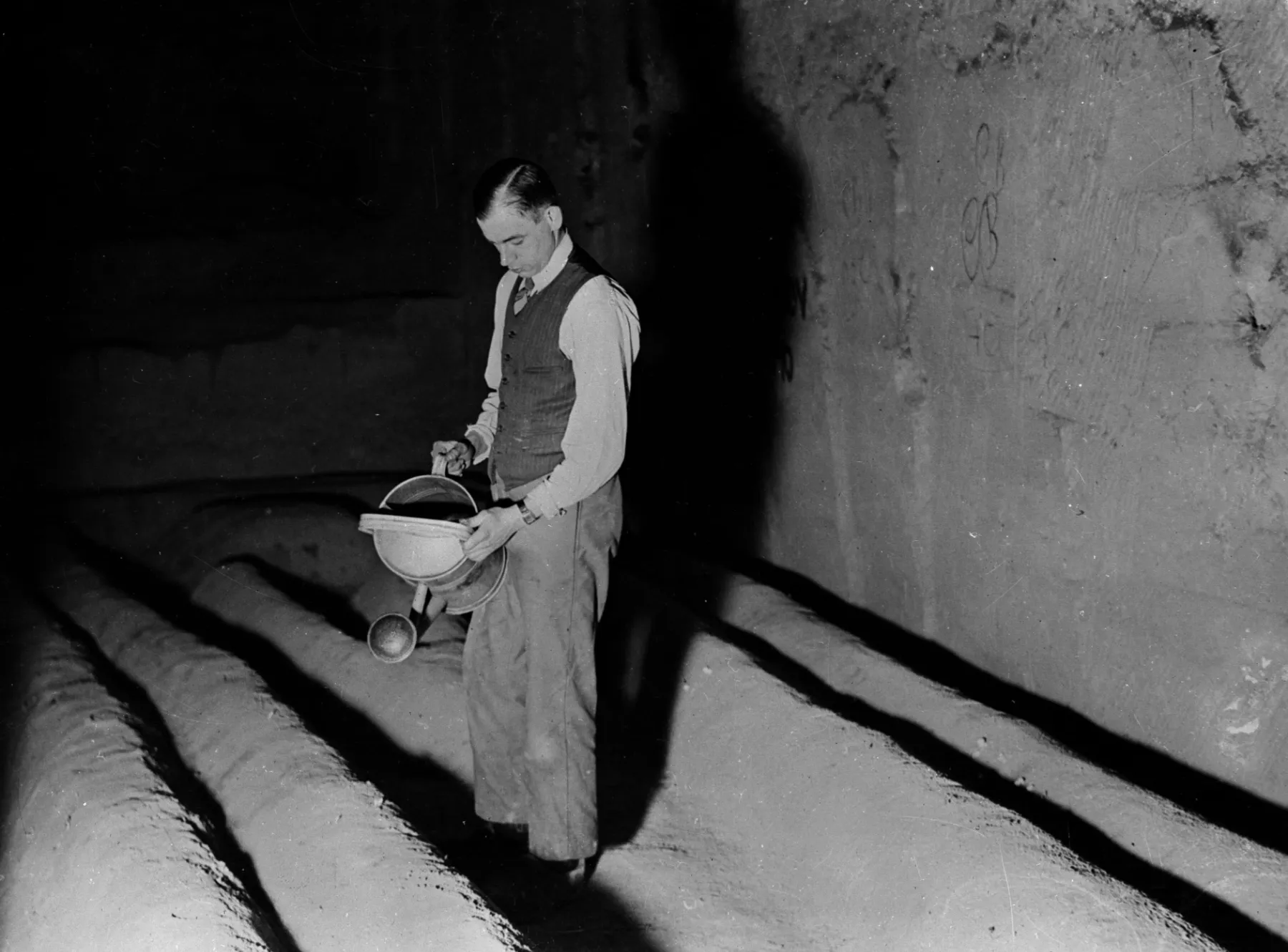 January 1946: A man watering a crop of mushrooms being grown in subterranean caves in the St Peters Mountains, Holland.