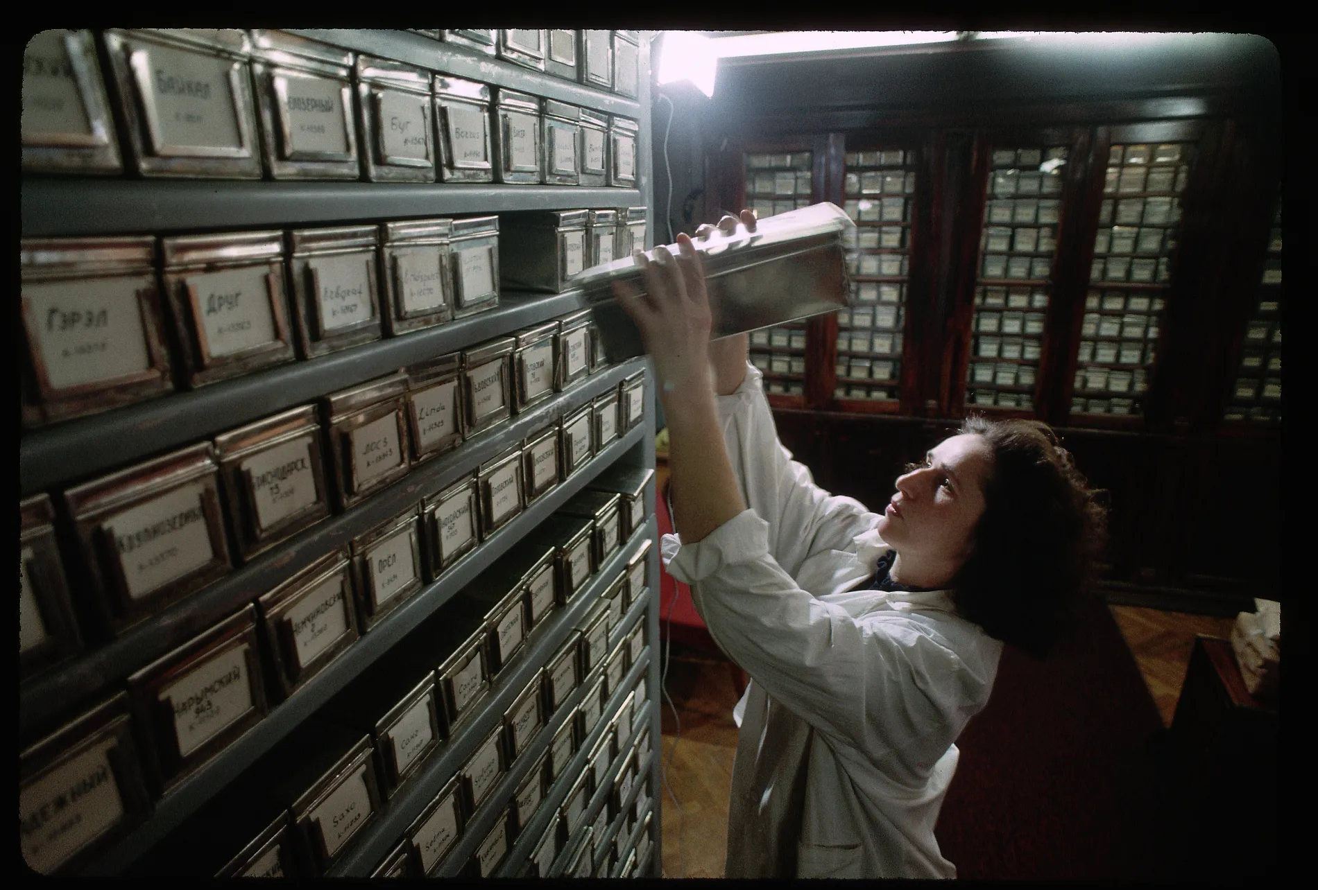 Scientists working in the Vavilov Institute of Plant Industry which researches vegetal genetics and seed conservation. 