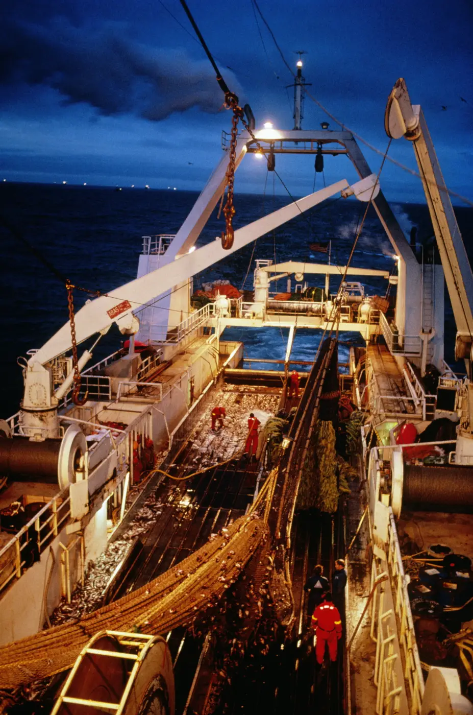 Net full of pollack being pulled onboard trawler in the Aleutian Islands, Alaska, USA.