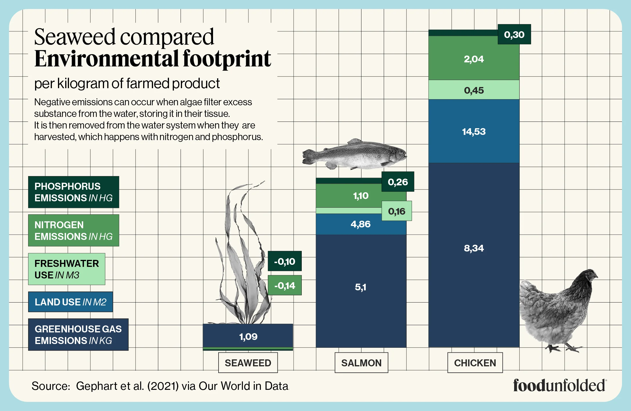 Seaweed footprint graphic
