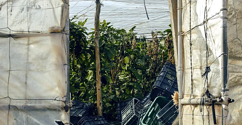 Farm