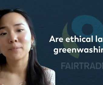 greenwashing.webp