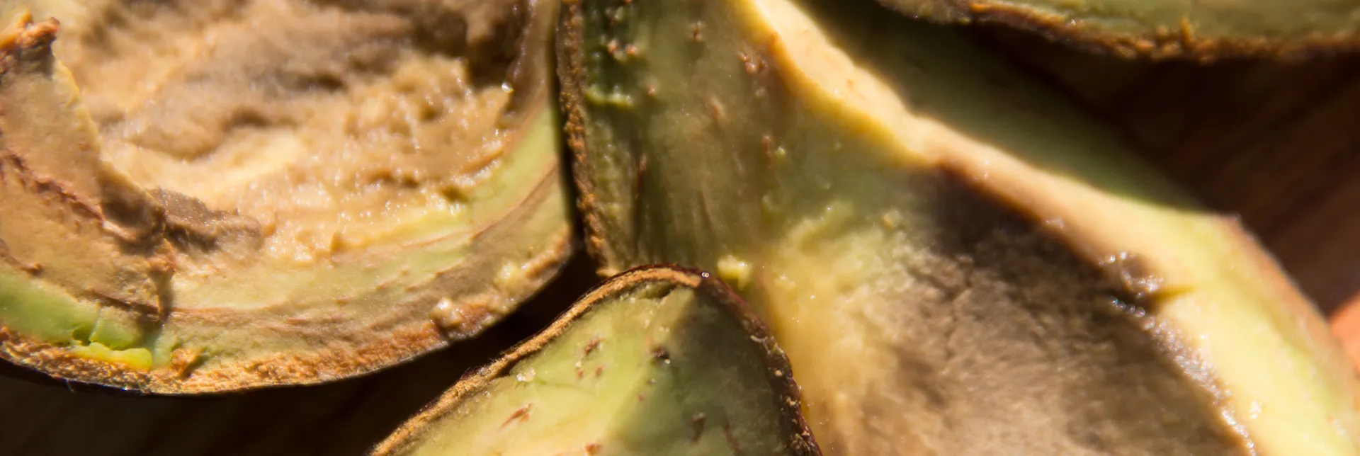 header-banner-avocadowaste.webp