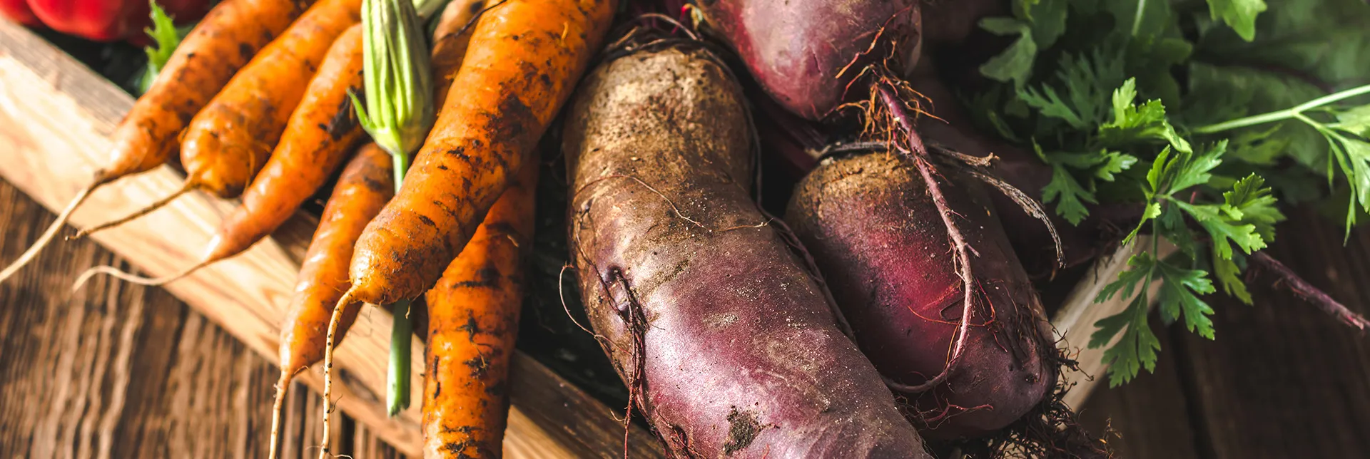 header-banner-chopping-veggies.webp
