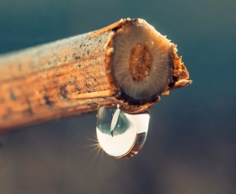 header-banner-eat-less-water.webp