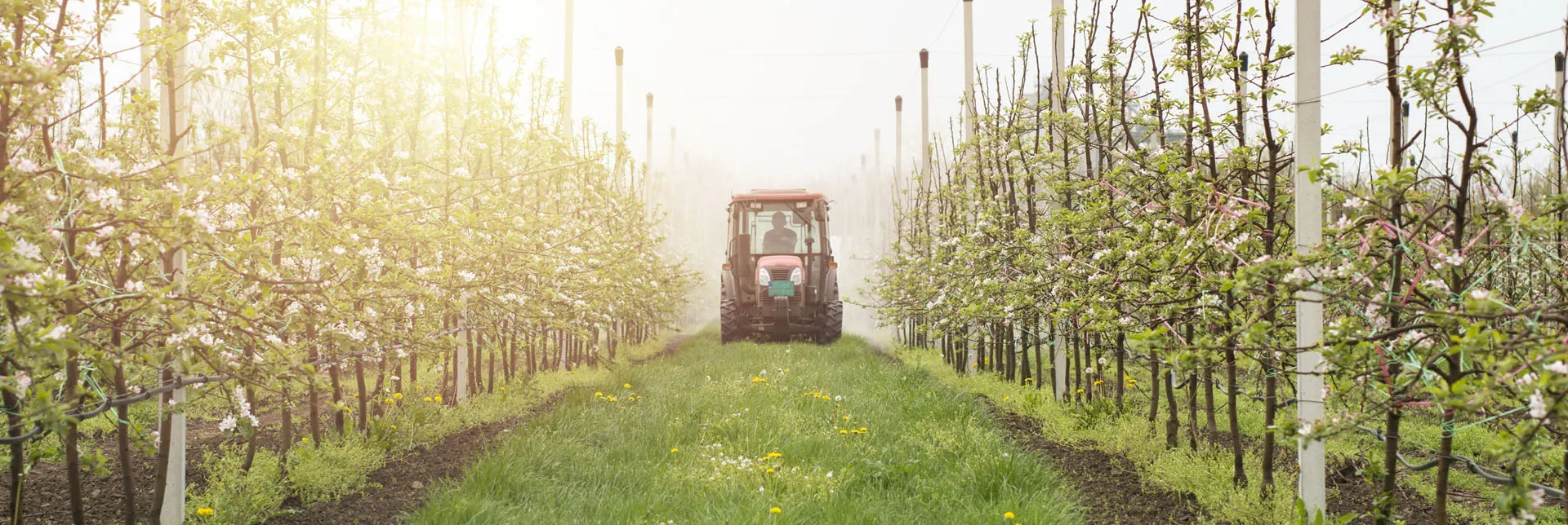 Impactos ambientales: Biopesticidas