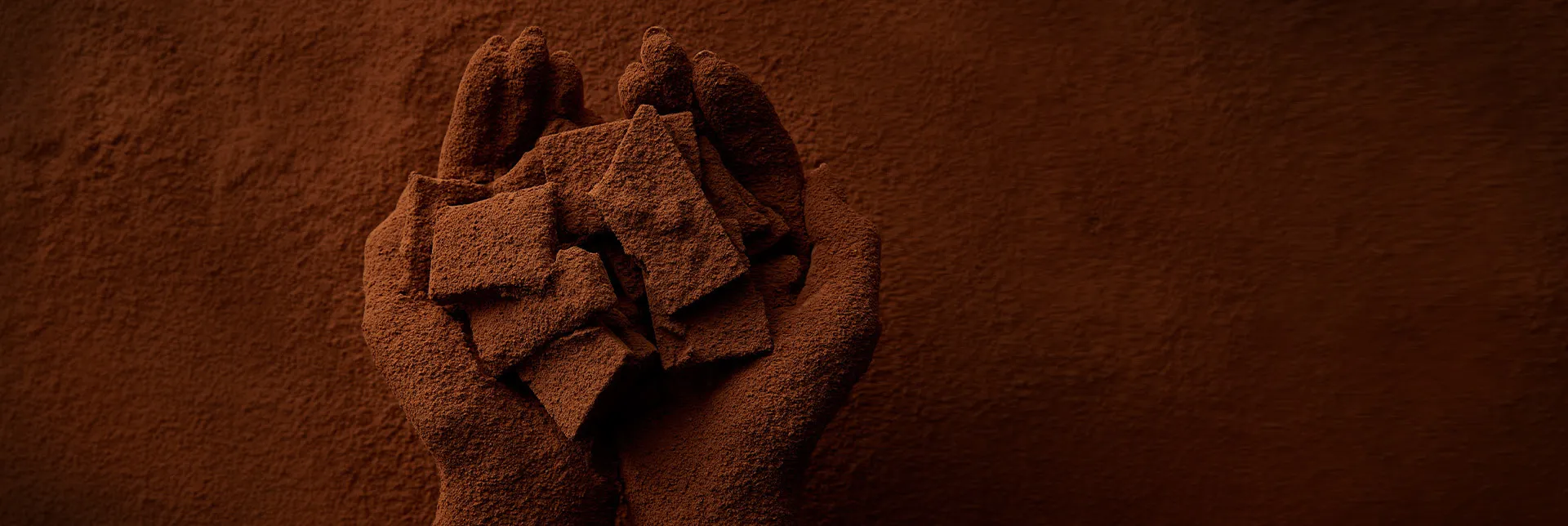 header-banner-FairtradeCocoa-2.webp
