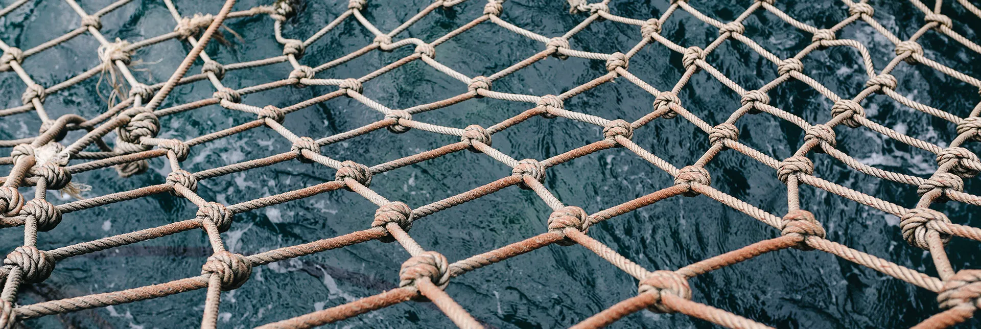 header-banner-fisheries.webp