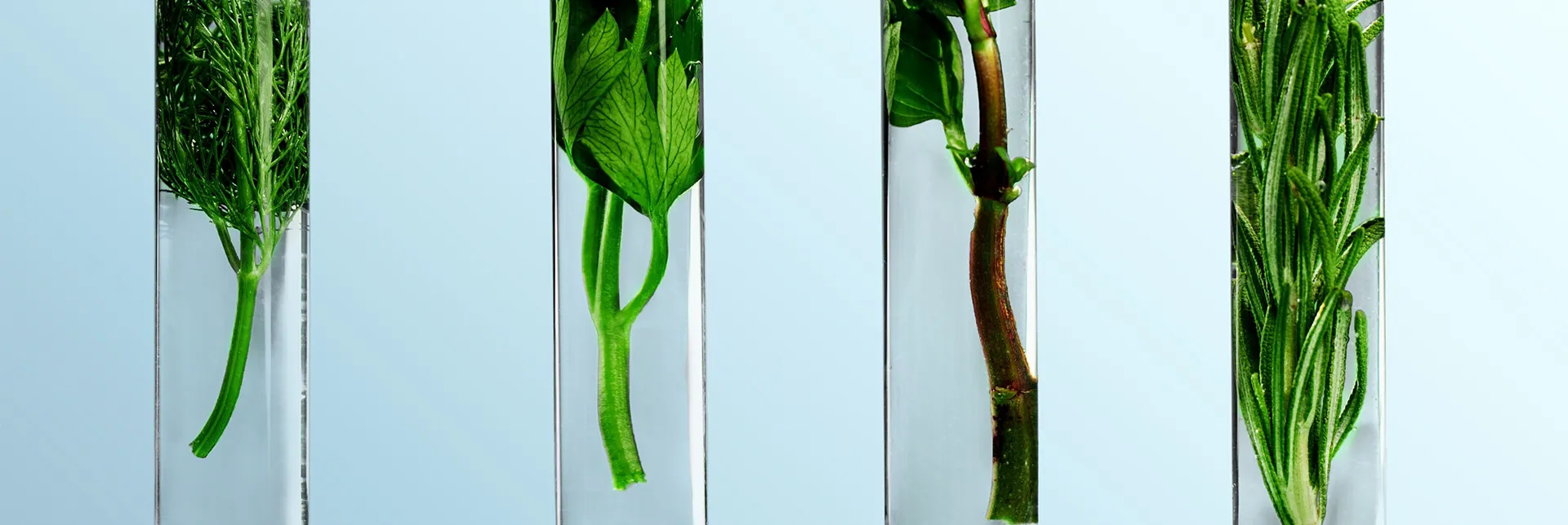 header-banner-futurefoods.webp