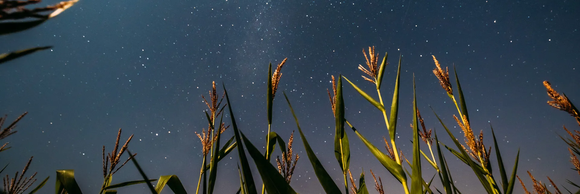header-banner-growfoodinspace.webp