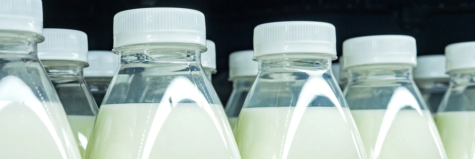 Header-banner-milkprice.webp