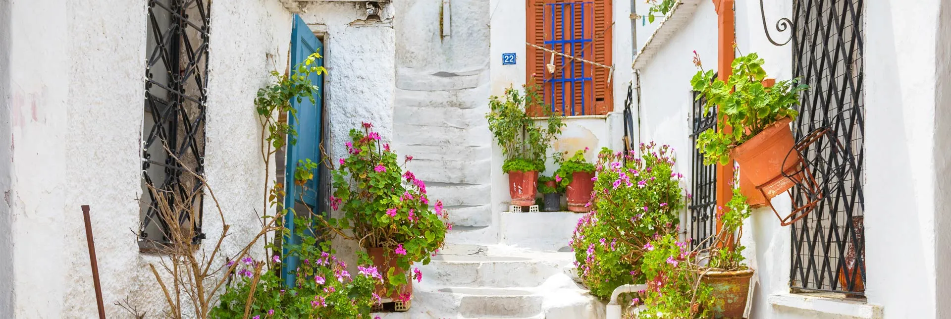 header-banner-notina.webp