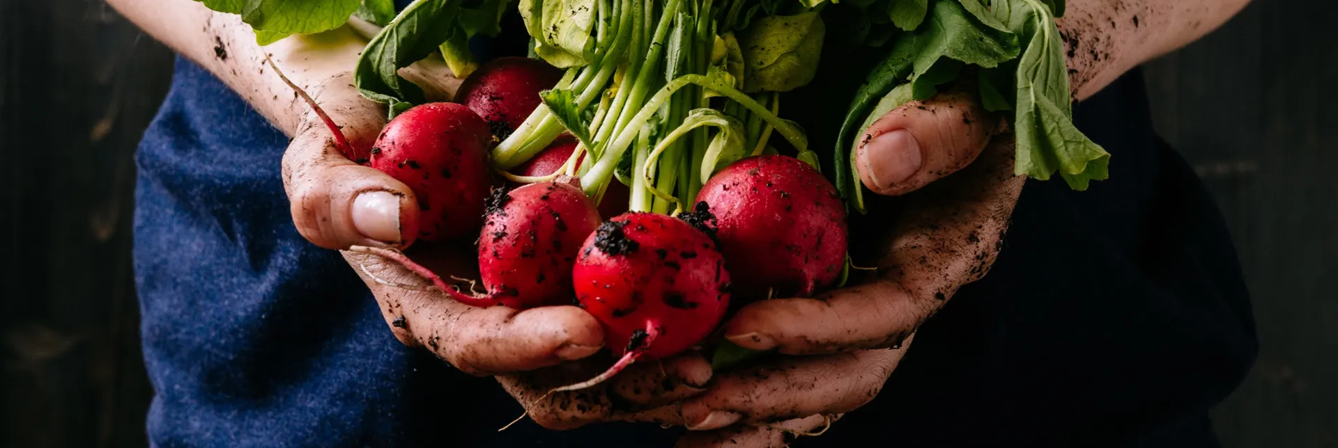 ¿Qué son los alimentos orgánicos? | ¿Están realmente libres de productos químicos? 