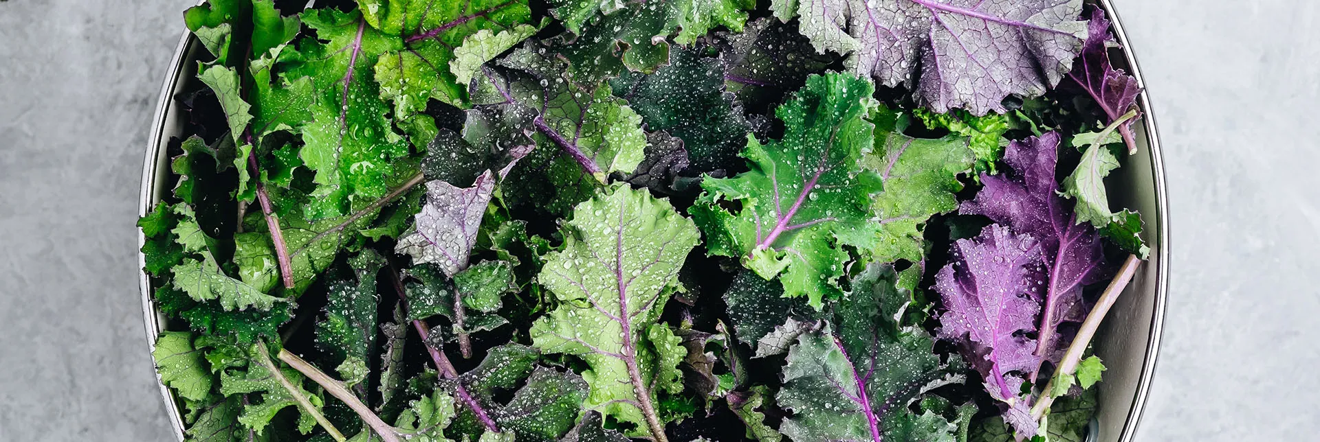 header-banner-plantbasediron.webp