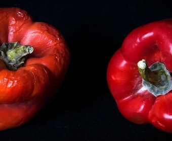 4 formas de reducir el desperdicio de alimentos en casa