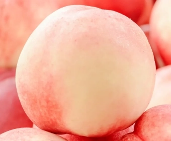header-banner-ripe_fruits_1.webp