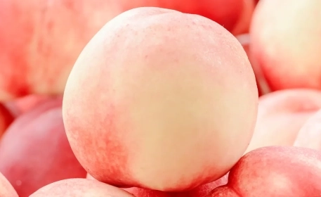 Perfectly Ripe Fruits | How Do They Do It? 