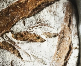 Sauerteig | ein historisches Handwerk wird wiederentdeckt