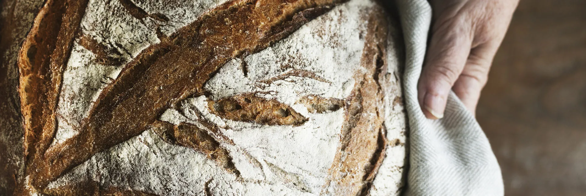 header-banner-sourdough.webp
