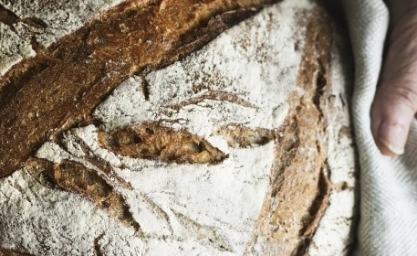 Sauerteig | ein historisches Handwerk wird wiederentdeckt