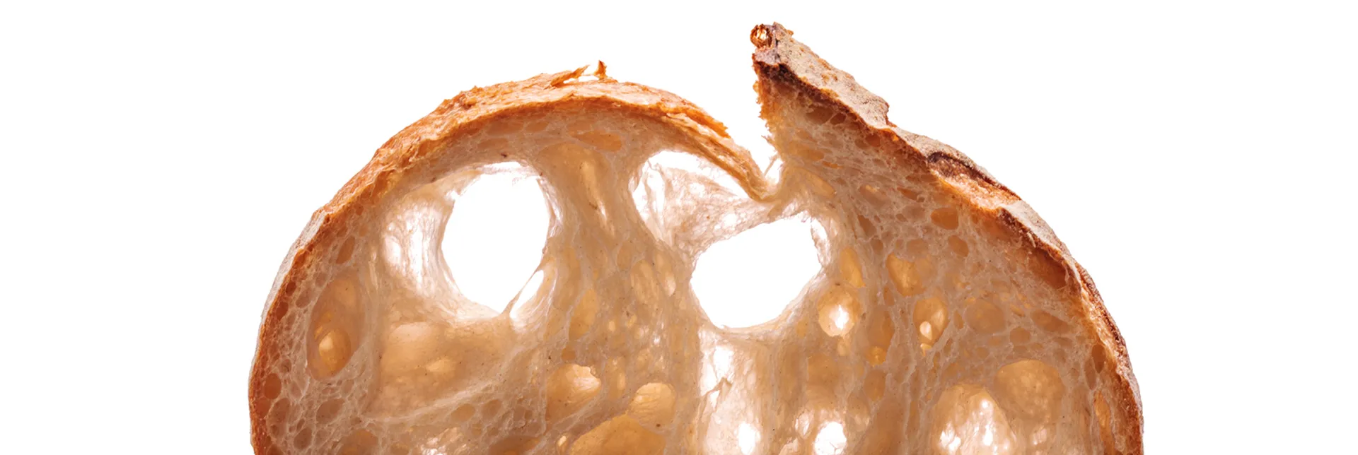 header-banner-sourdoughHIW.webp