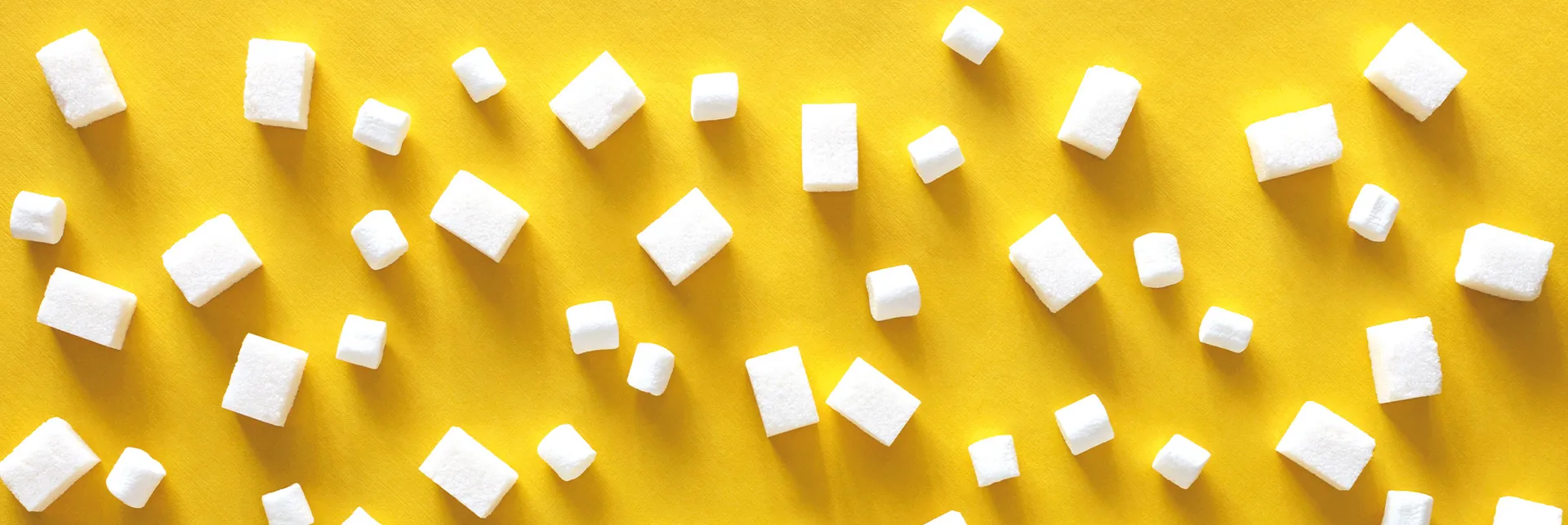header-banner-sugar2a.webp