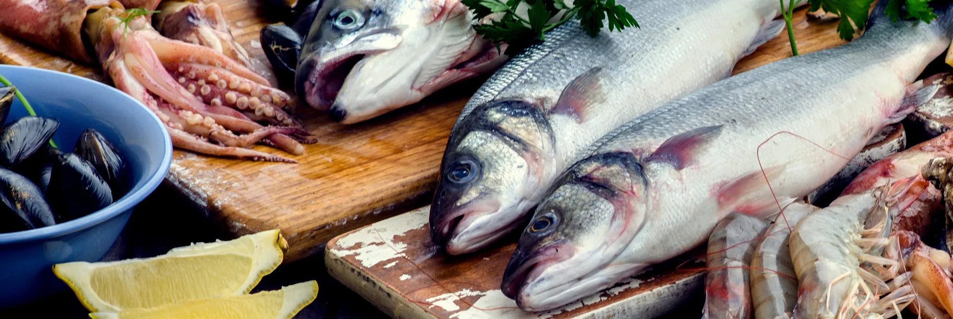 header-banner-sustainable_fisheries.webp