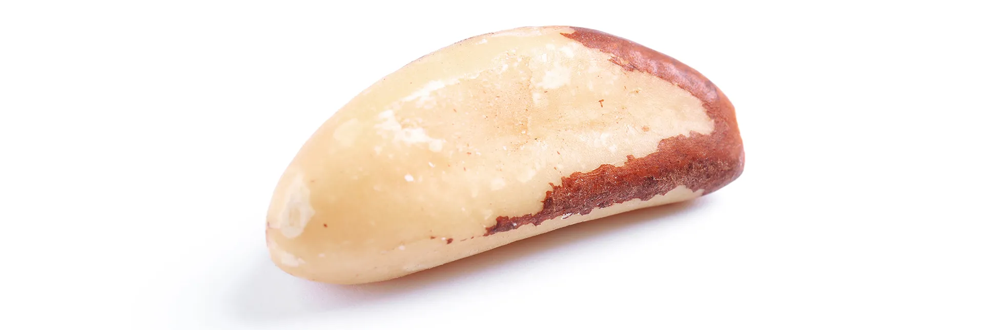 header-banner-toxicfoods.webp