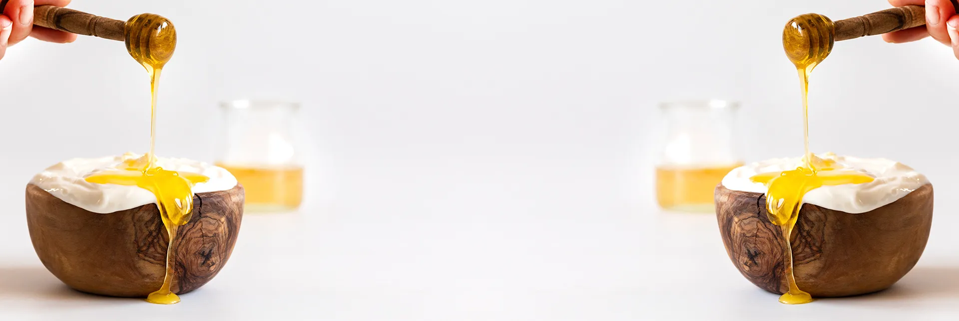 header-banner-typesofyogurt.webp