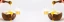 header-banner-typesofyogurt.webp
