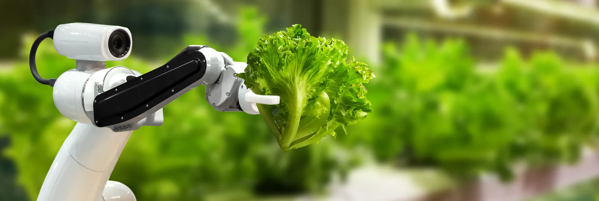 header-banner_food_in_science_fiction.webp