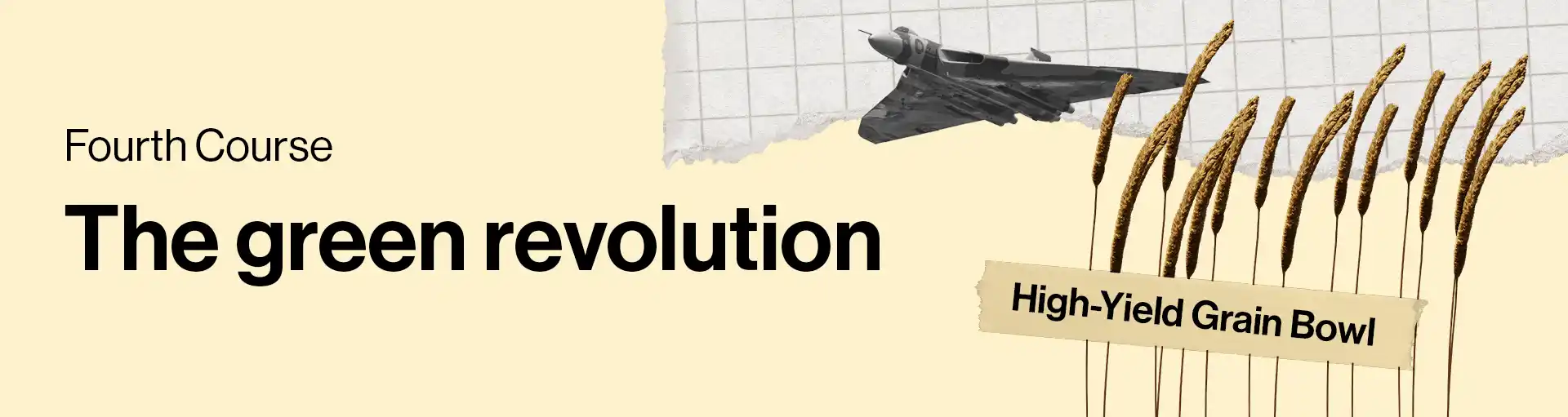 Section heading, fourth course: The Green Revolution