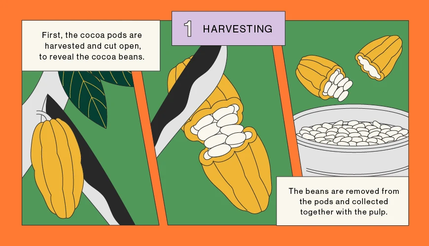 Harvesting