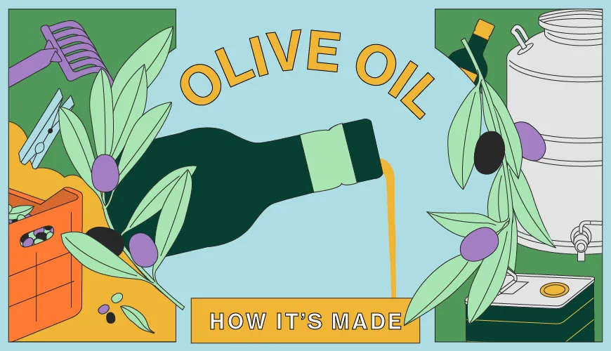 Olive Oil - How it's made
