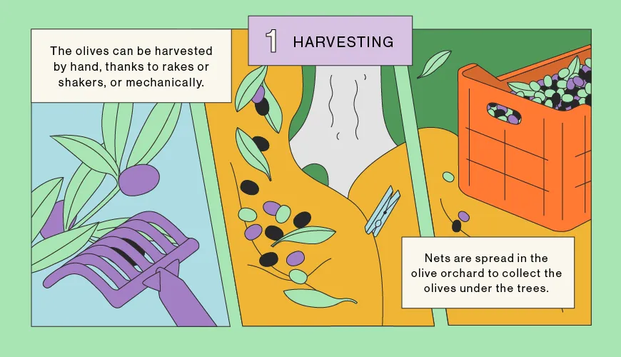 Harvesting