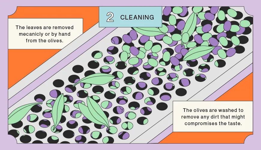 Cleaning