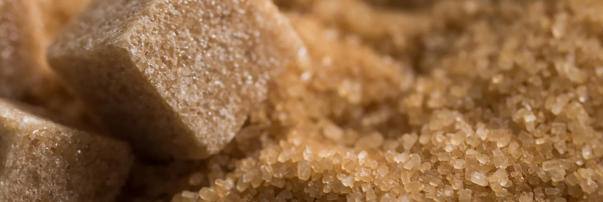 home-banner-sugar-how.webp