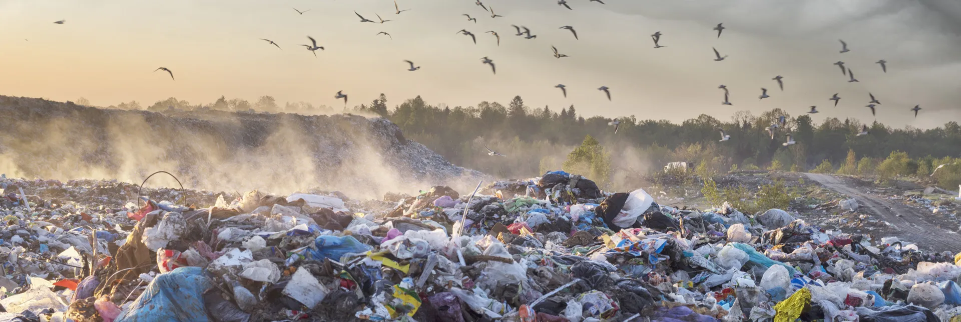 El coste del desperdicio de alimentos