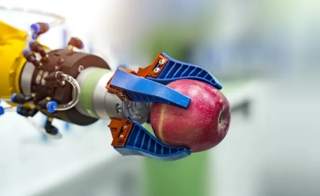 How is Food Made? Understanding Processed Food