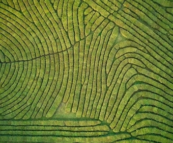 Precision Farming: Can it Really Work? 